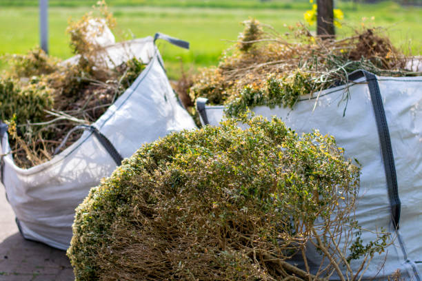 Best Residential Junk Removal  in Novi, MI