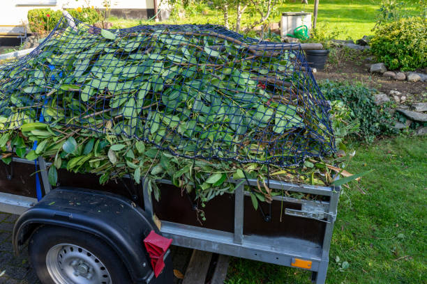 Best Mattress Disposal  in Novi, MI